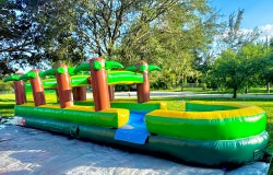 Palm Tree Screamer Slip and Splash