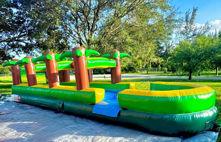 Palm Tree Screamer Slip and Splash